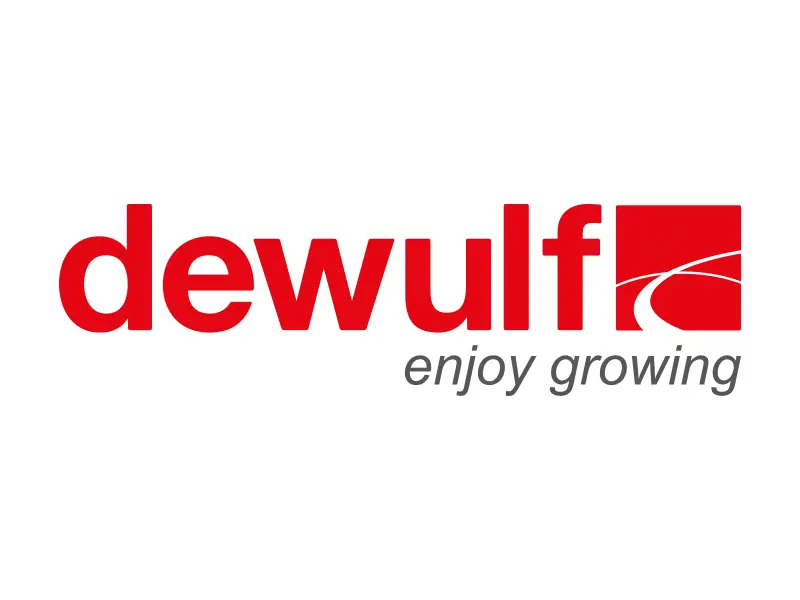 Dewulf~Miedema продолжит работу под названием Dewulf