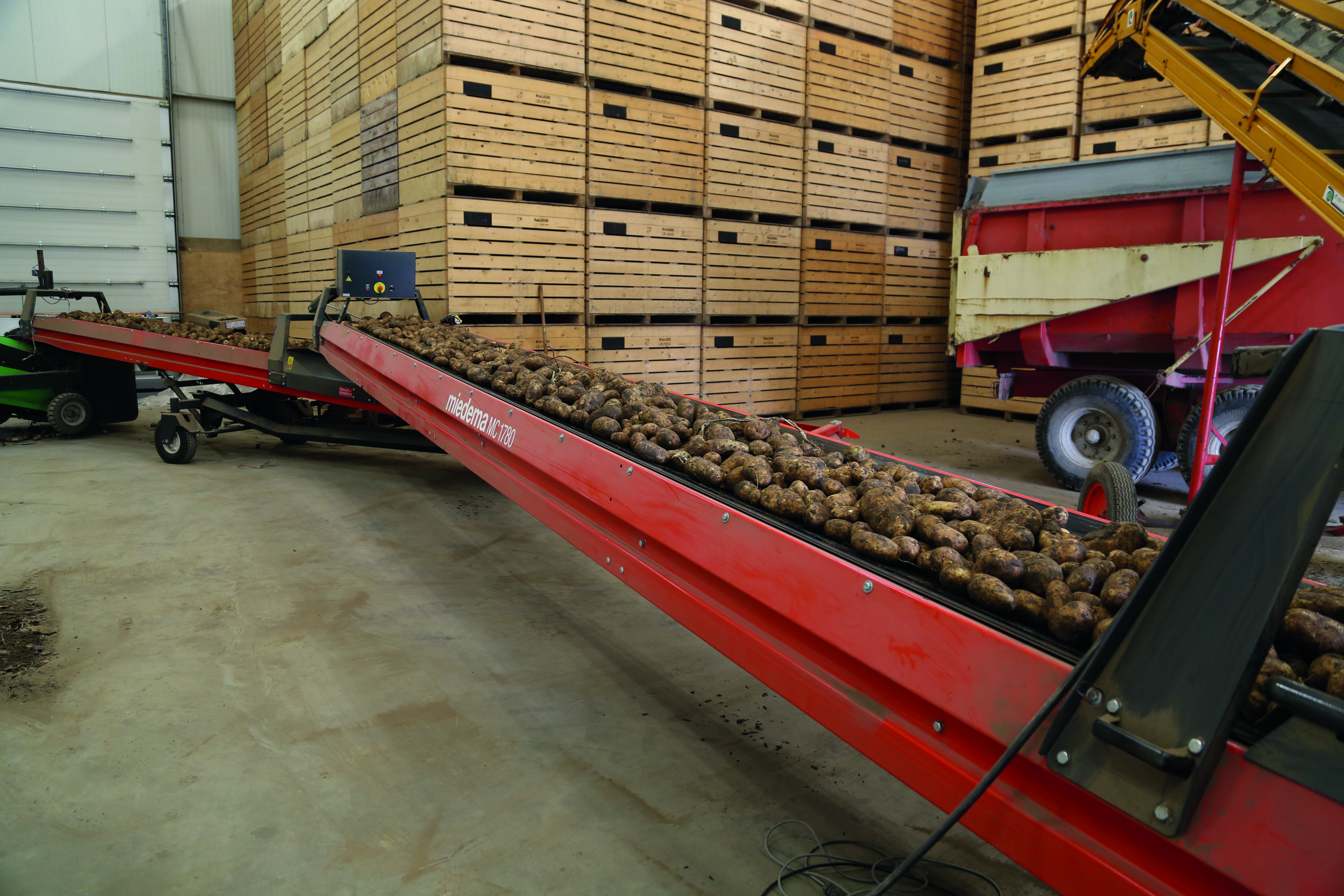 Przenośniki taśmowe Miedema