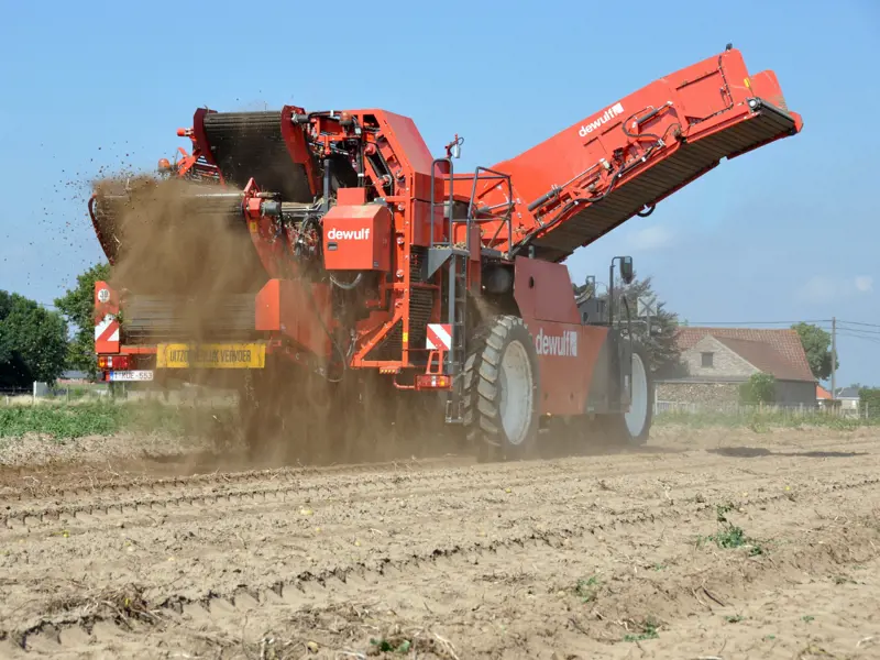 RF3060_back - Dewulf