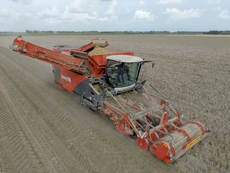 Dewulf Kwatro - rechtsvoor