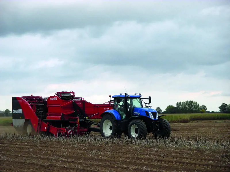 Torro_right side - Dewulf