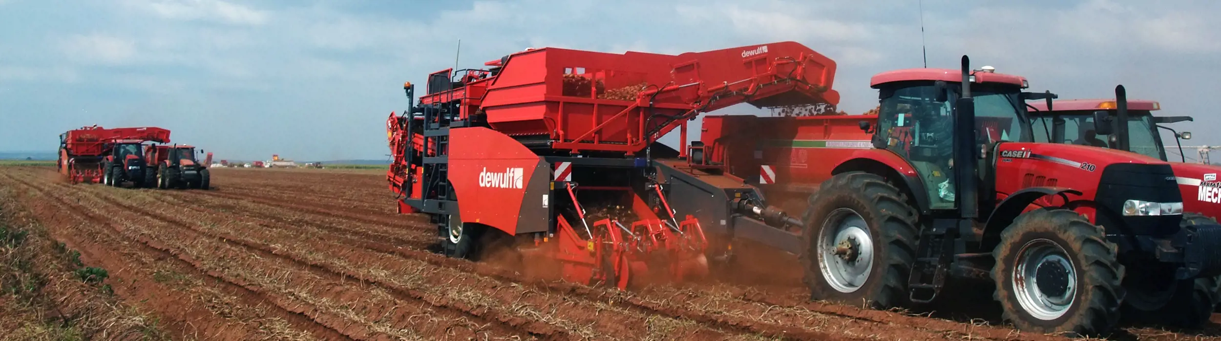 Trailed 2-row sieving harvester