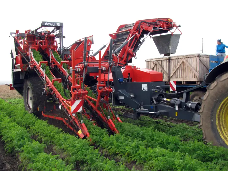 Trailed 2-row top lifting harvester with hedgehog unit and discharge elevator