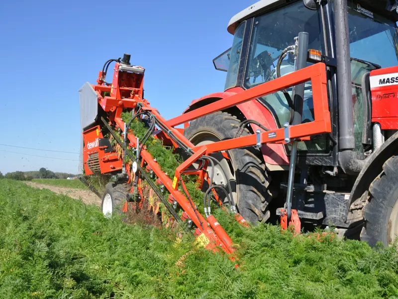 P3CL Profi - rechtsonder