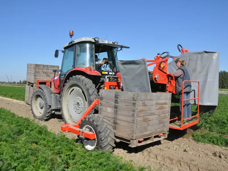 P3CL Profi - linksachter