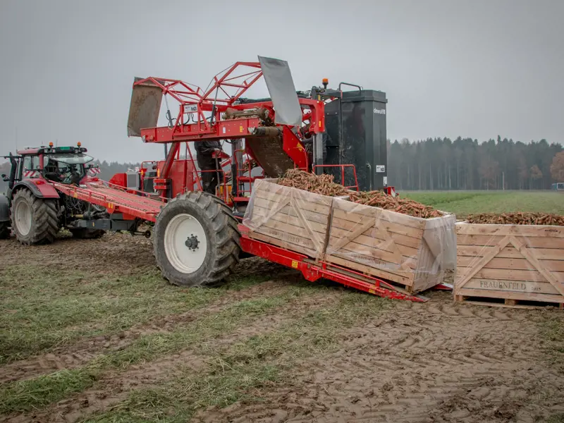 GCCI (GII) - afladen