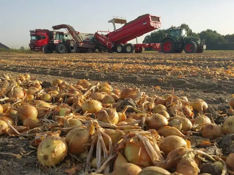 Field Loader 240 - links (veraf, uien)