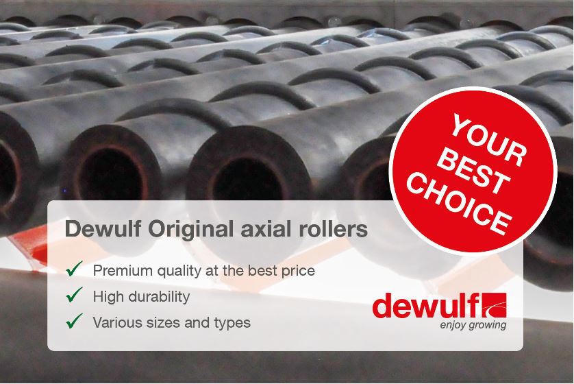 Axial roller promotion (2019)