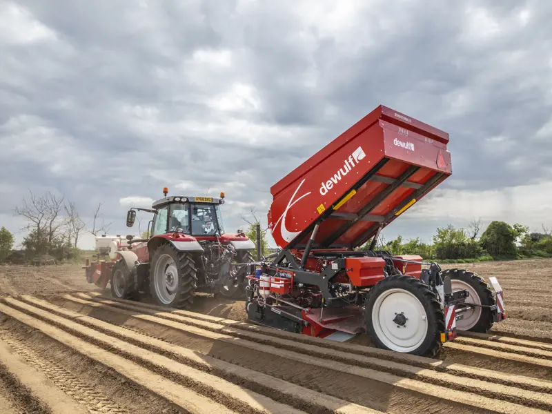 Structural 30 - back