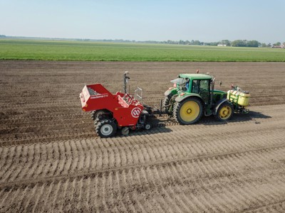 CP 42 P