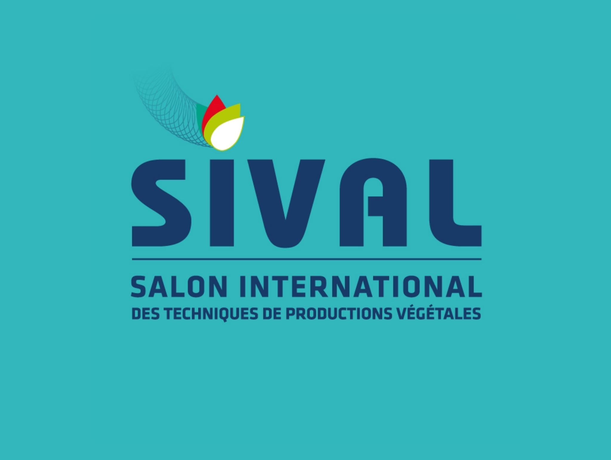 Sival