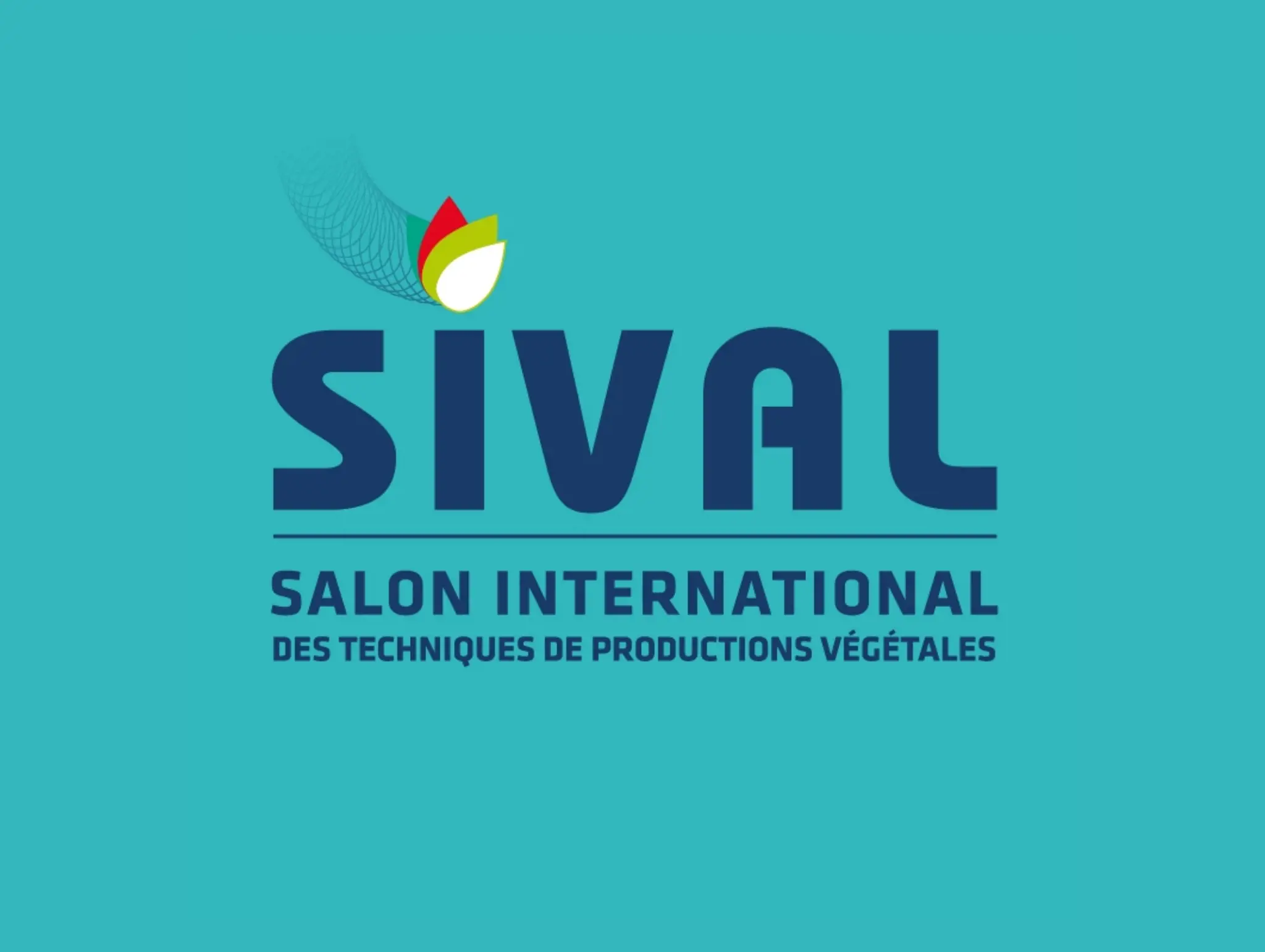 Sival