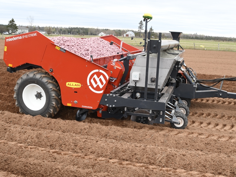 Trailed 6-row cup planter