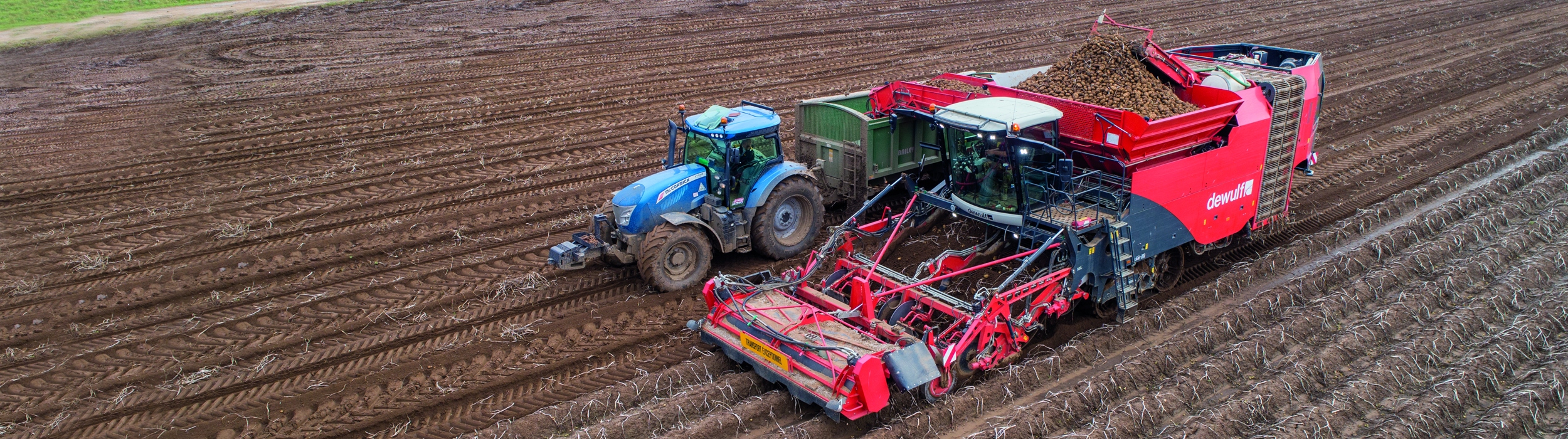 Self-propelled, 4-row sieving harvester for 4 x 90 cm