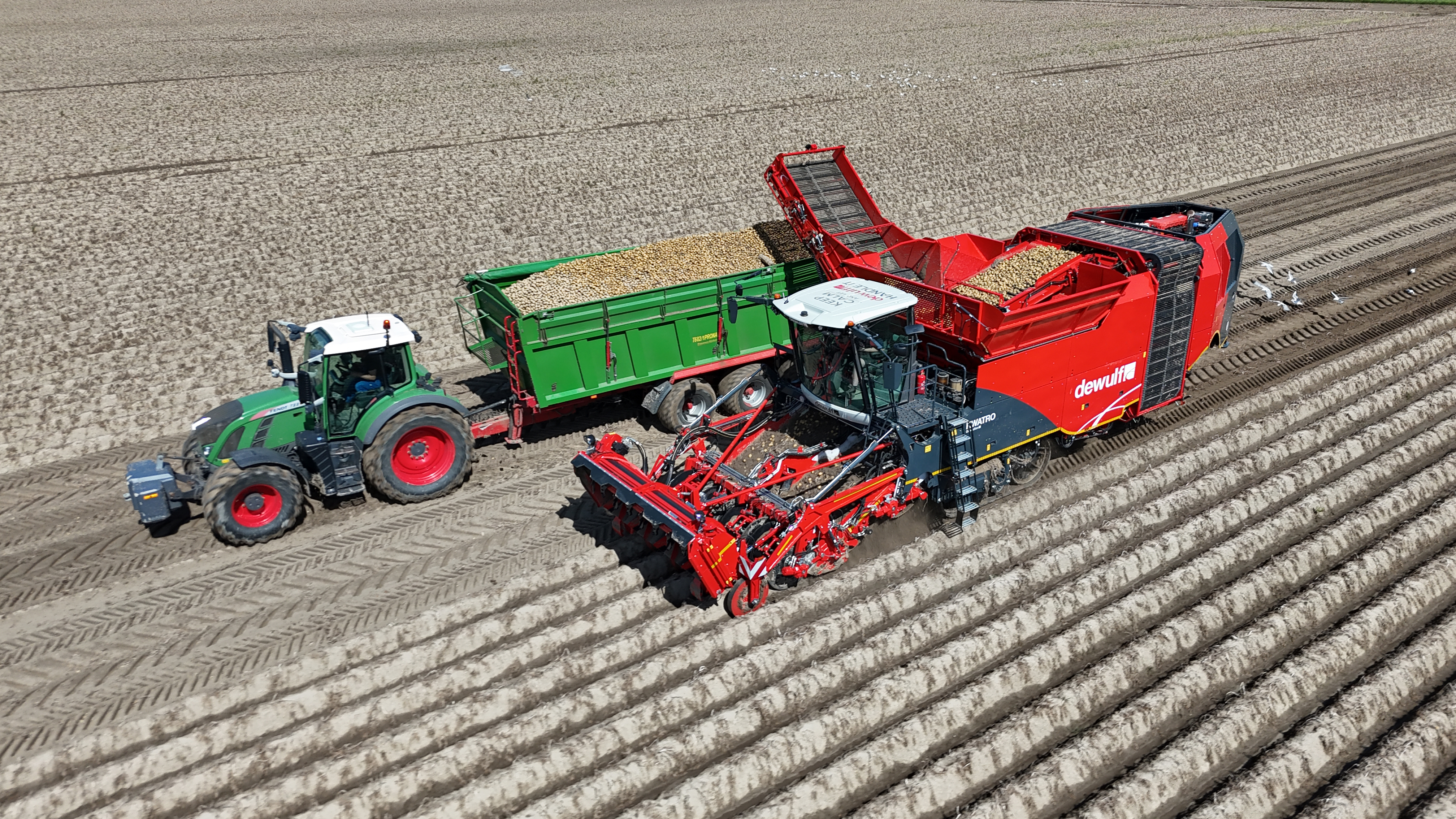 Dewulf stellt auf der Potato Europe die 3. Generation des Kwatro vor