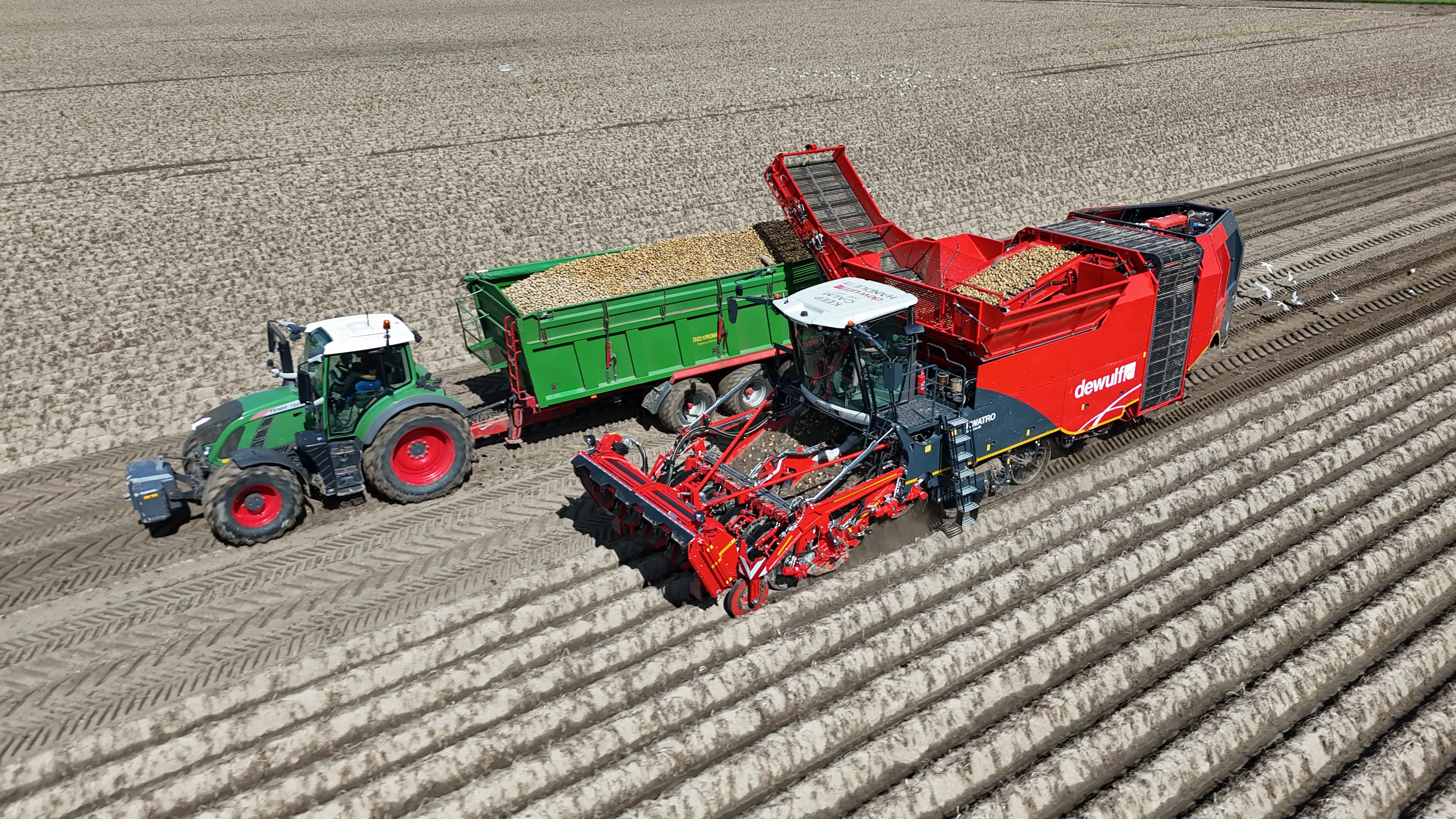 Dewulf stellt auf der Potato Europe die 3. Generation des Kwatro vor