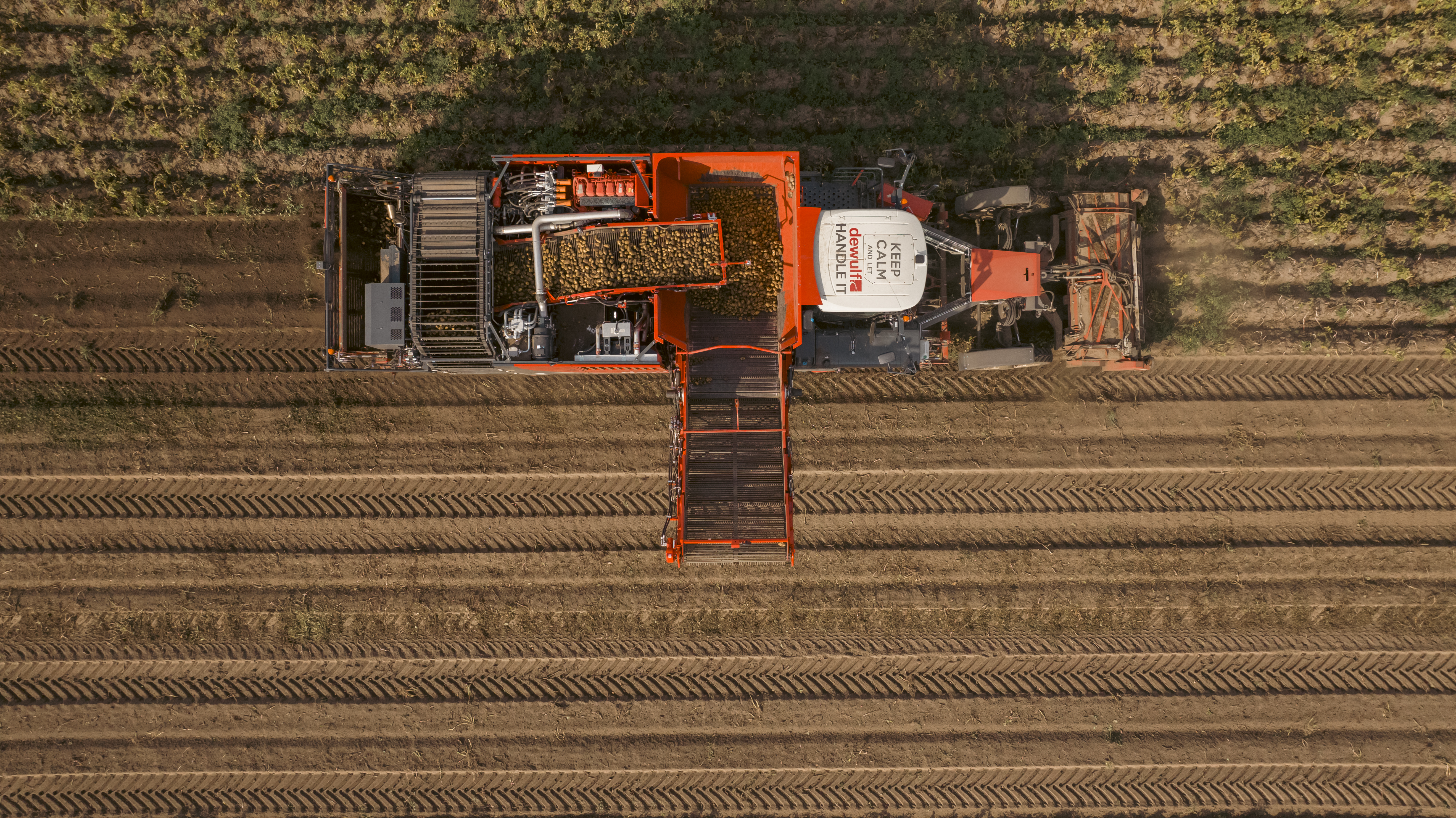Dewulf participera au salon Potato Europe à Lelystad les 3 et 4 septembre