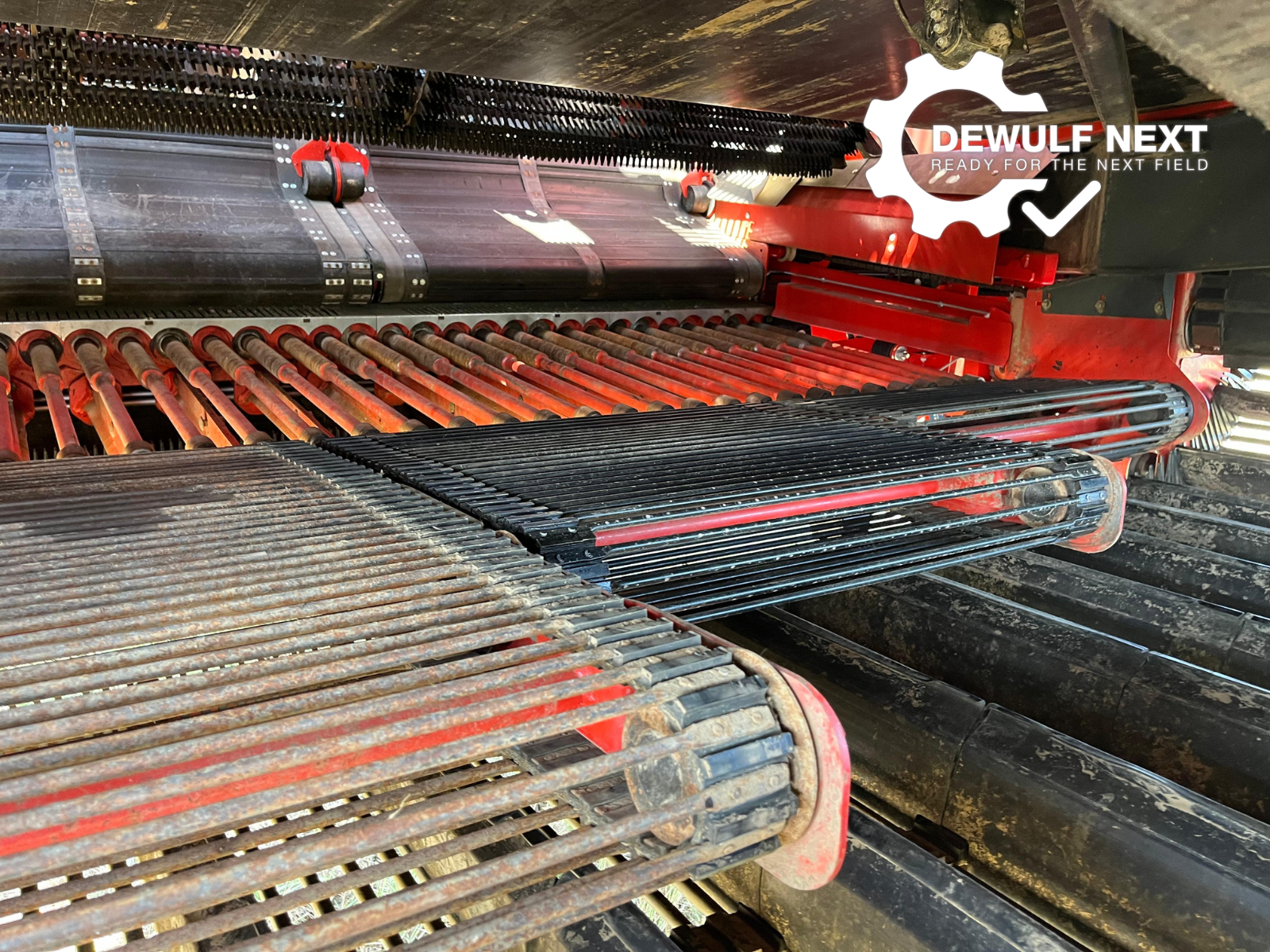 Dewulf Next Kwatro (2022) (Y-36)