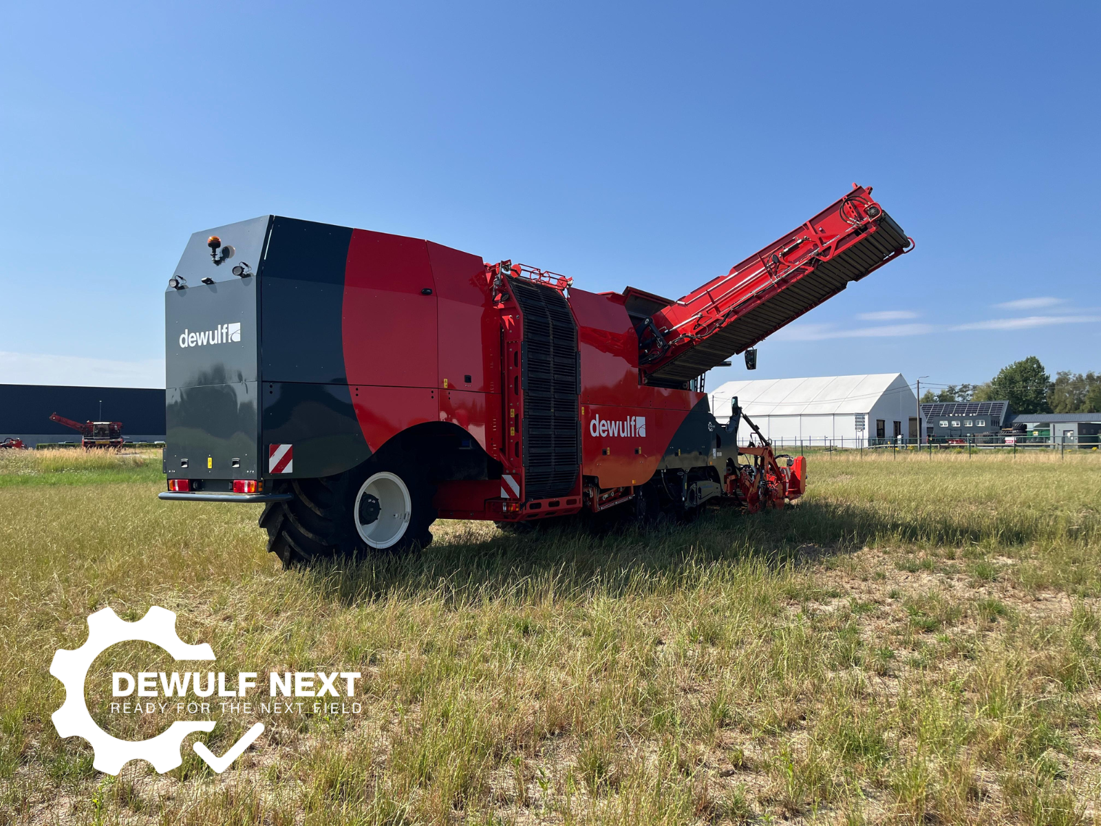 Dewulf Next Kwatro (2022) (Y-36)