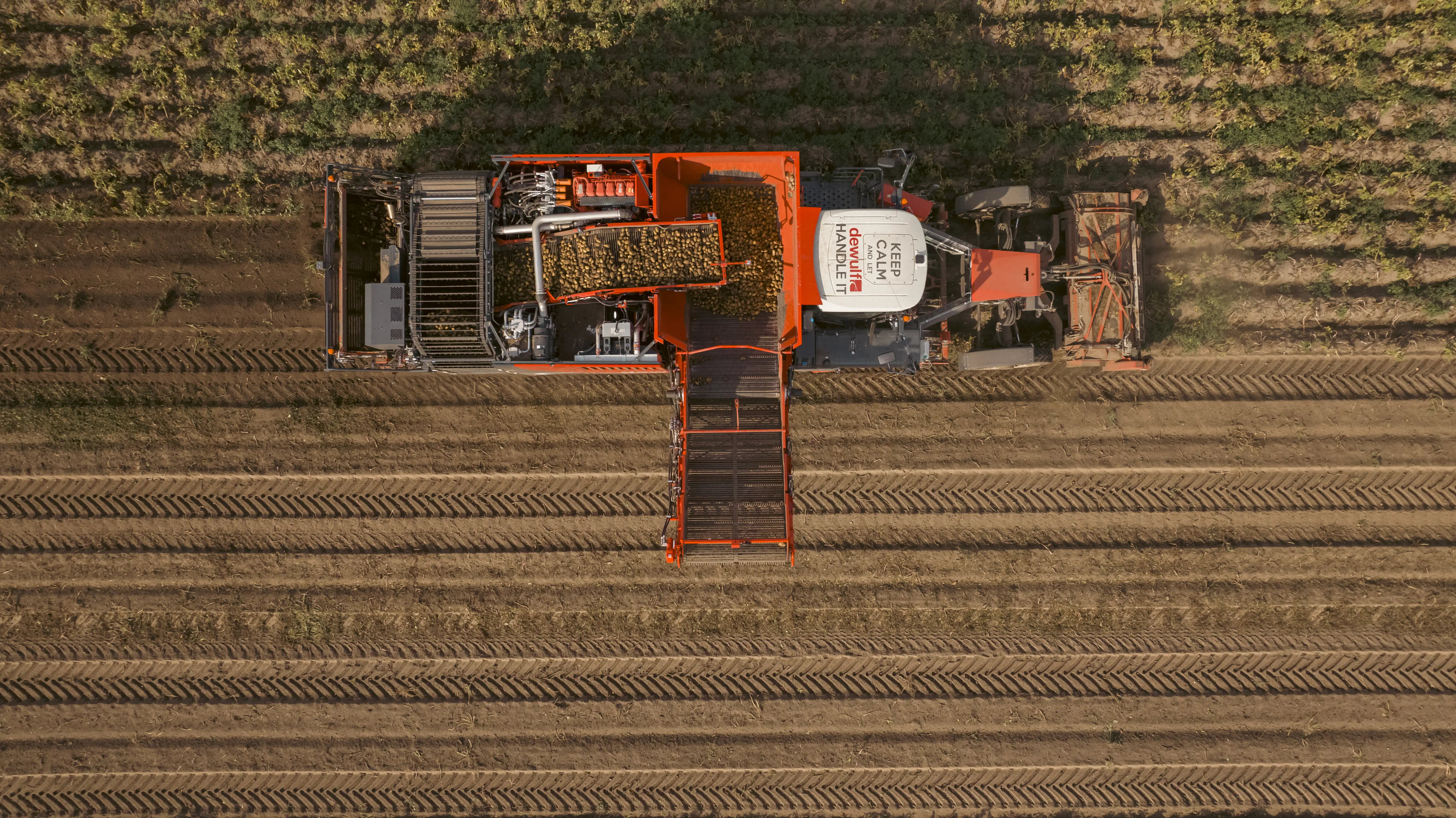 Dewulf en Potato Europe strijken neer in Lelystad op 3 en 4 september