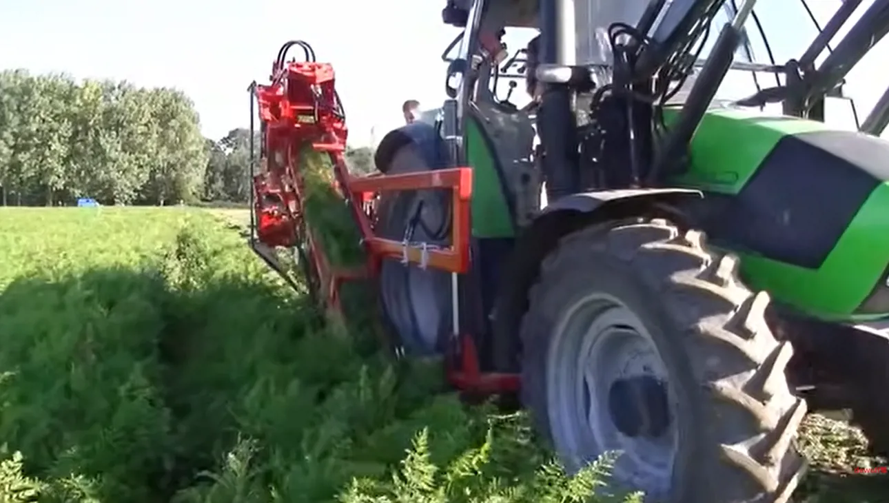 P3B Farmer, France
