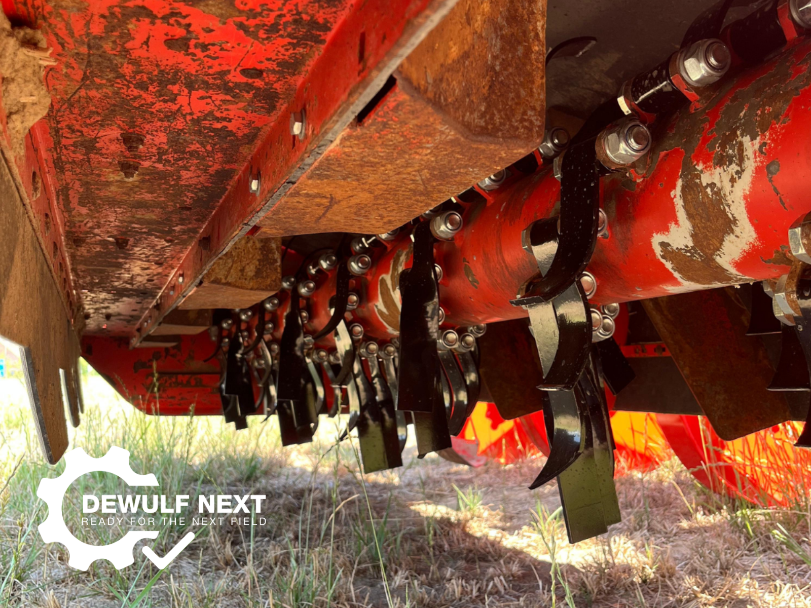 Dewulf Next Kwatro (2022) (Y-36)