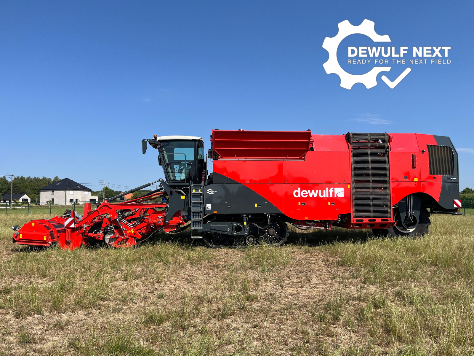 Dewulf Next Kwatro (2022) (Y-36)